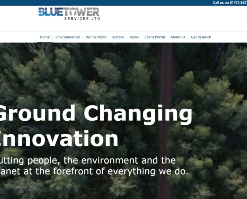 Blue Tower Services Ltd